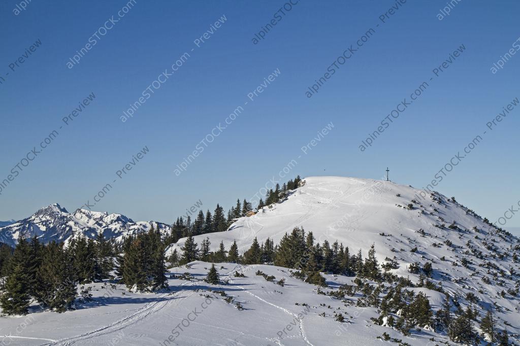 image preview