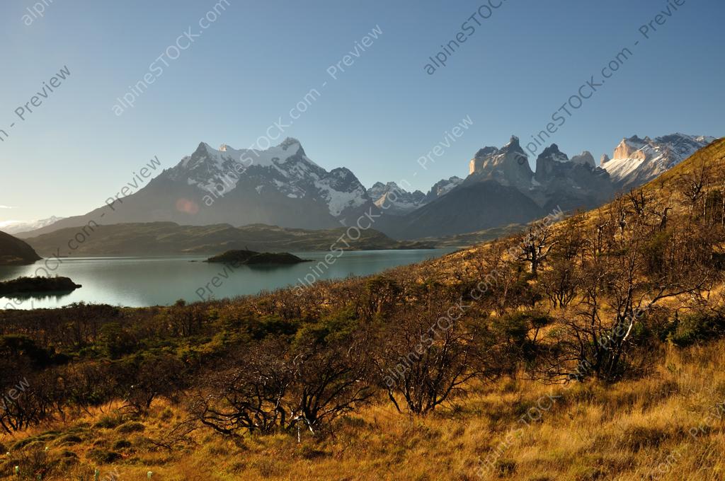 image preview