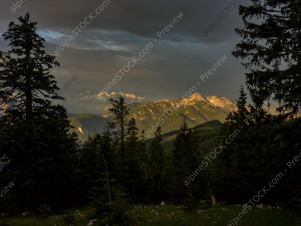 image preview