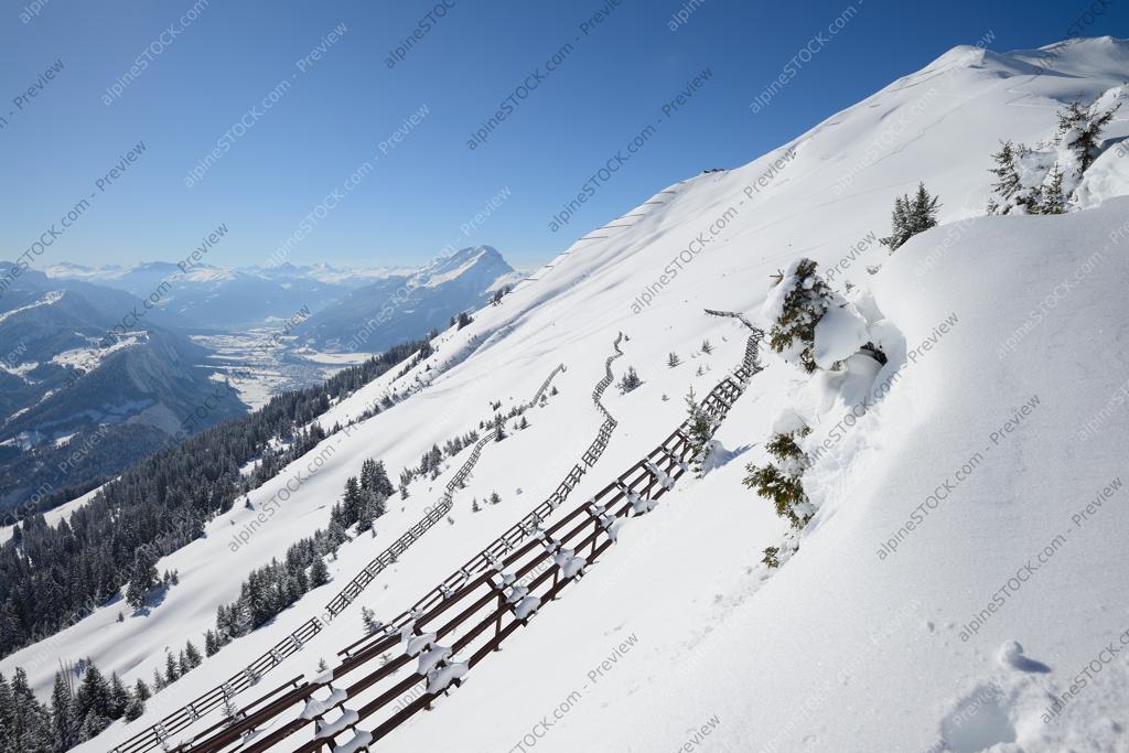 image preview